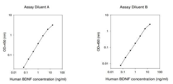 Human BDNF ELISA