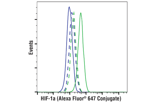 HIF-1α (D1S7W) XP Rabbit mAb (Alexa Fluor 647 Conjugate)