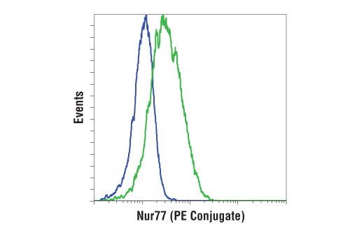 Nur77 (D63C5) XP Rabbit mAb (PE Conjugate)