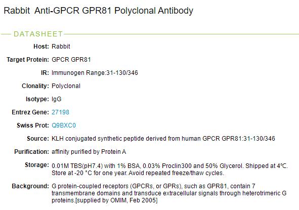 G蛋白偶联受体81抗体