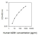 Human MZB1 ELISA
