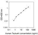 Human Tsukushi/TSK ELISA